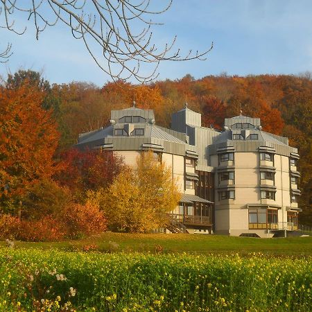 Hellmut-Wassmer-Jugendherberge Loerrach Esterno foto